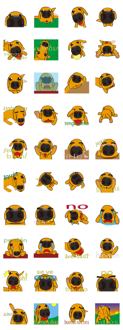 big nose dog pote 2