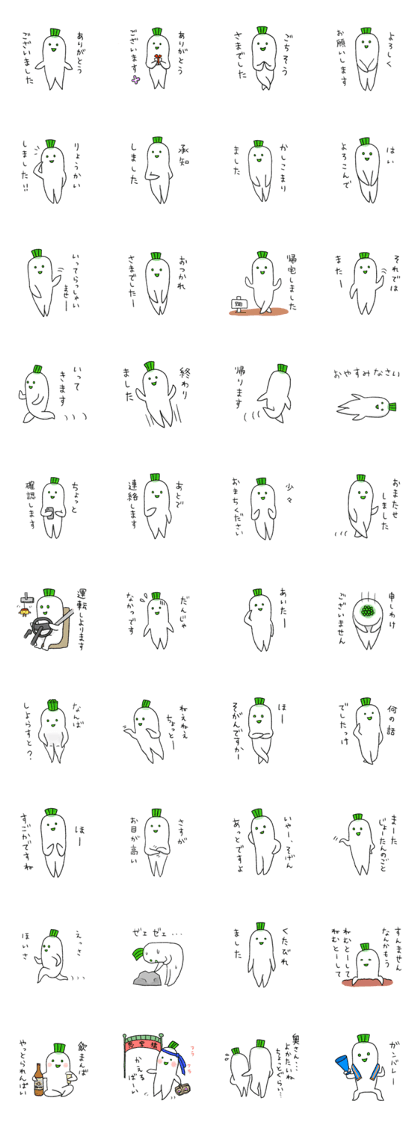 Japanese white radish 4