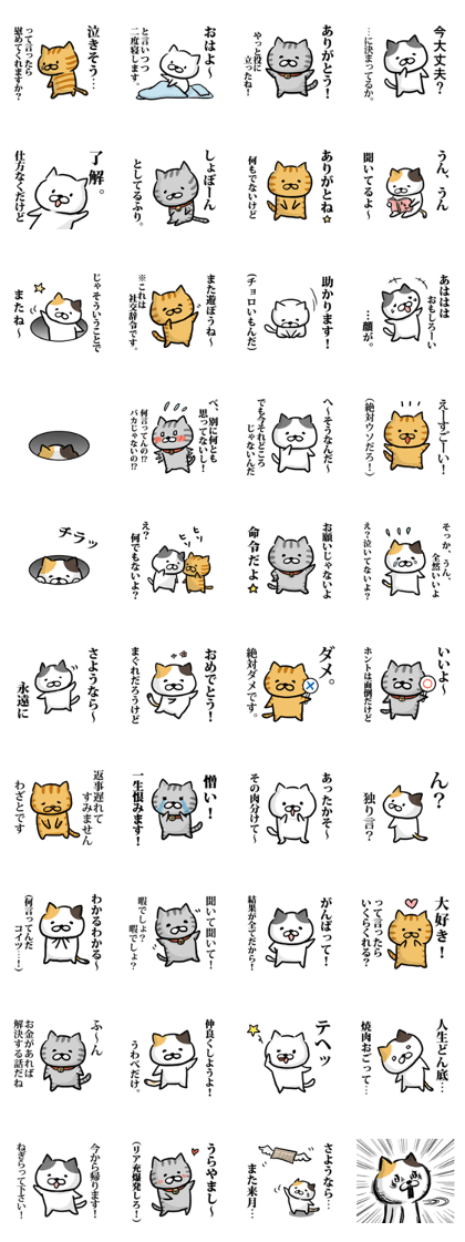 Cat always says one word too many mate2
