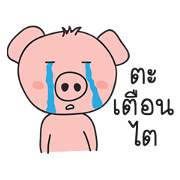 PigTH
