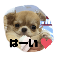 Risa_marin05270914