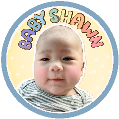 Babyshawn v1