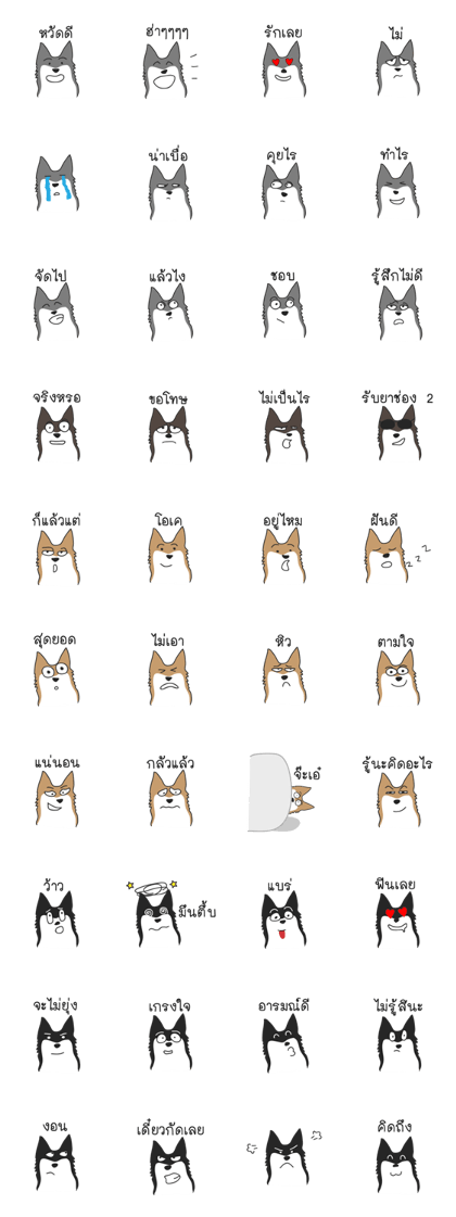 Siberian HuskyTH