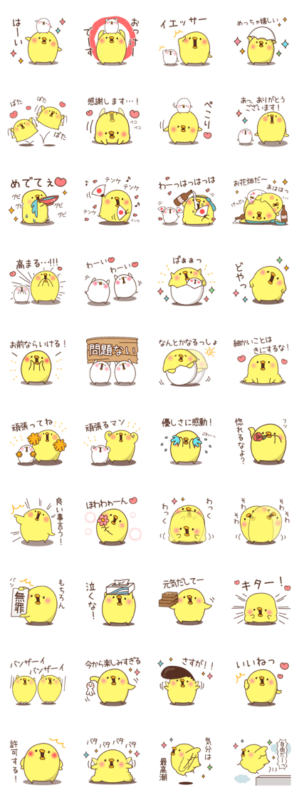 Chicken positive1