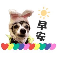 芭樂力 の 日常