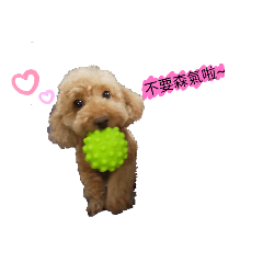 可愛Happy