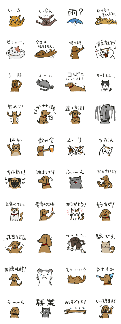 popular phrase with cute animals