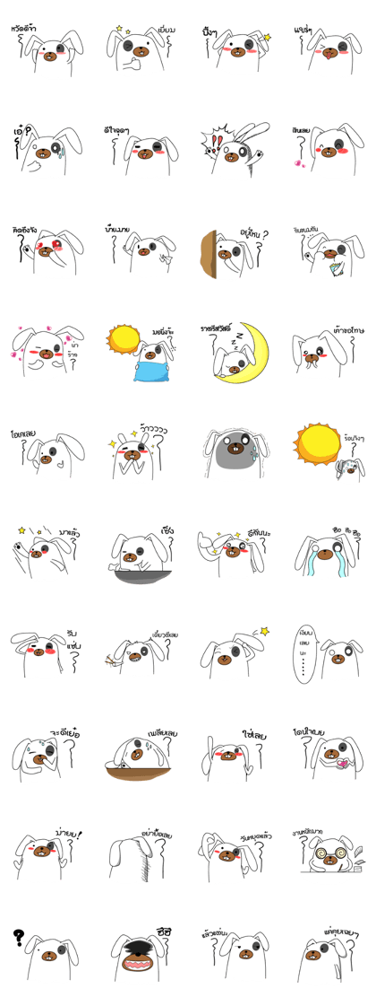 Bunny handsome