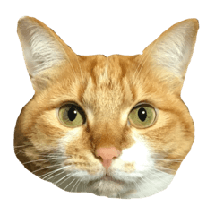 Arisa_20200518181016