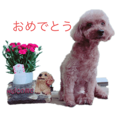 sayuri_20200518190103