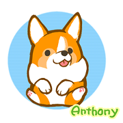 Corgi Anthony
