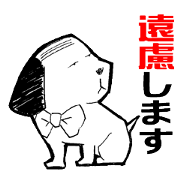 Dog of thinning hair