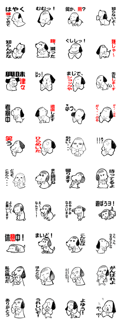 Dog of thinning hair
