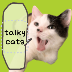 說話中貓 talky cats