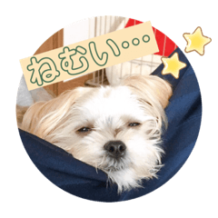 akiko_20200518210846