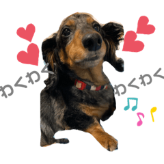 sherry_20200518211308