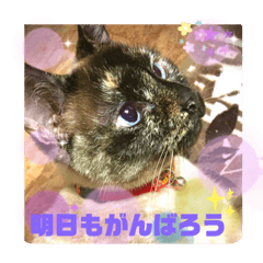 mimi_20200518211501
