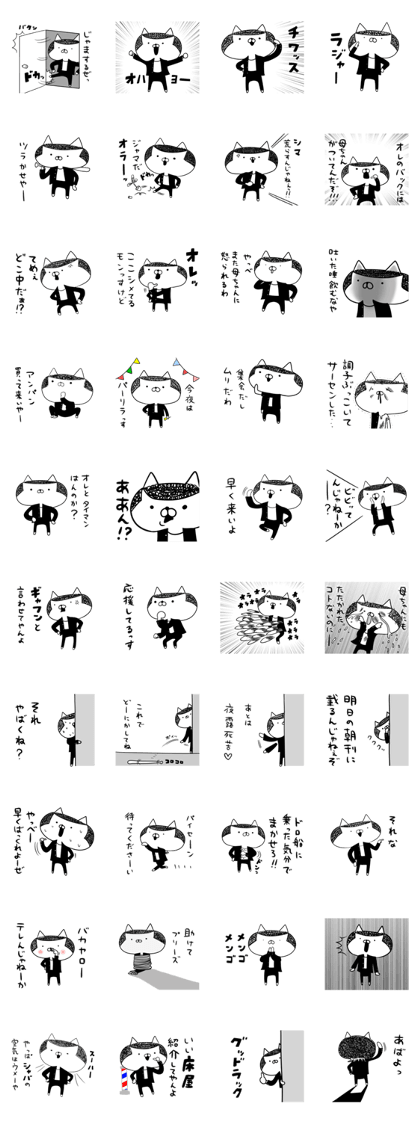 PUNCH CAT