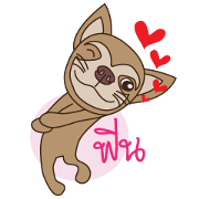 Wasabi smiling dog