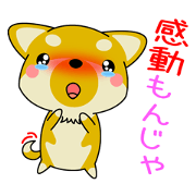 Dialect! The puppy from Hiroshima