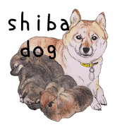 Favorite parts of SHIBAINU5 -English-