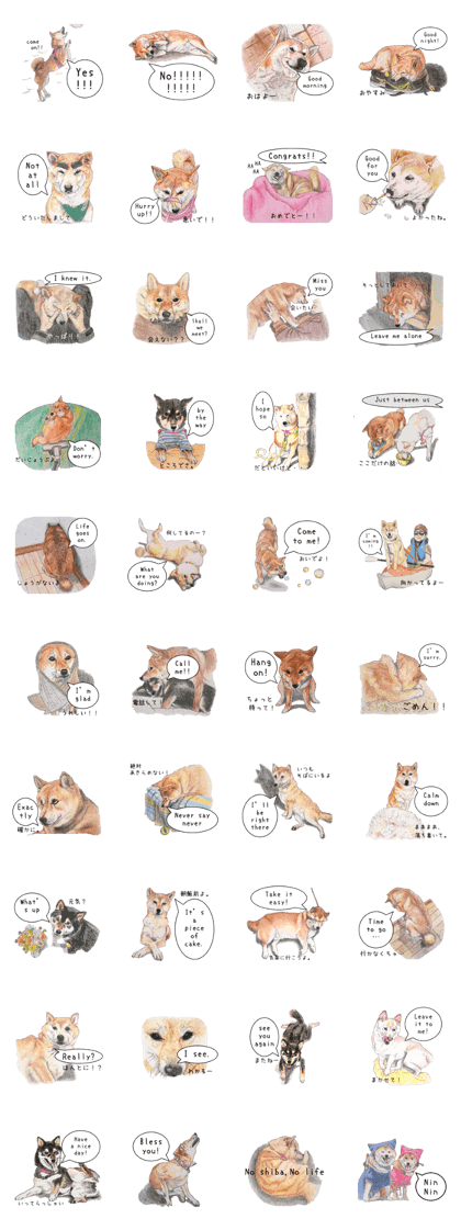 Favorite parts of SHIBAINU5 -English-