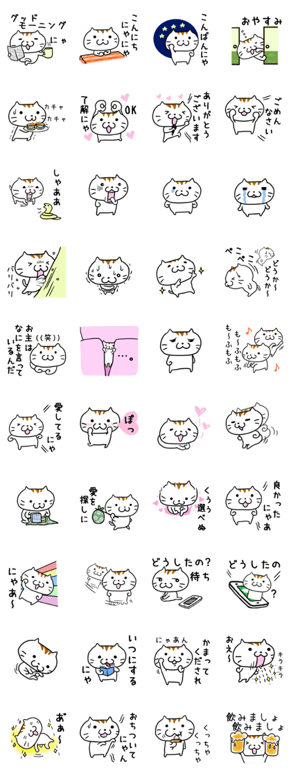 Is usable; is Mr. cat