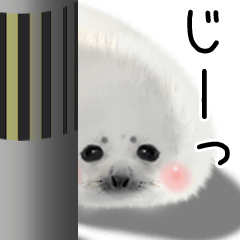 Realistic seal 2
