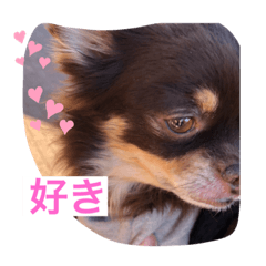 azuki888_20200518212323