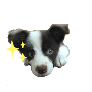 mico_20200518215745