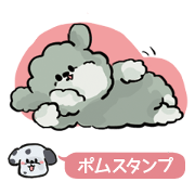 Dalmatian and Toy Poodle2
