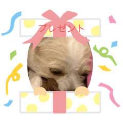 KAHO_20200518220947