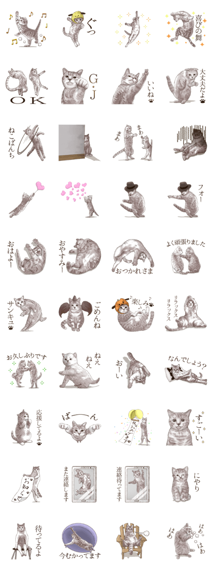 Strange pose cat 4
