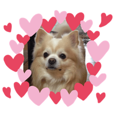 saori_20200518231522