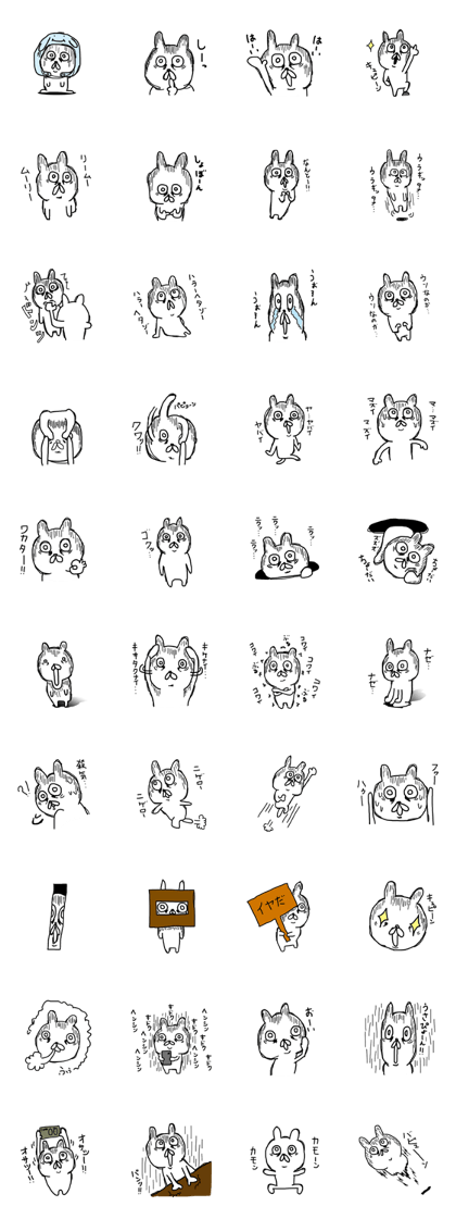 Sick rabbit