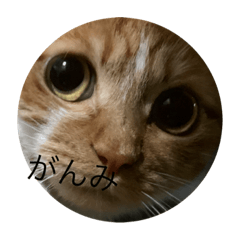 kurumi_20200518232729