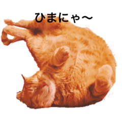 茶トラ猫の茶太郎の毎日 Lineクリエイターズスタンプ Stamplist 茶トラ猫の茶太郎の毎日 Lineクリエイターズスタンプ Stamplist