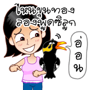 sharp-tongued Hill Myna (Khun Thong)