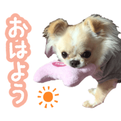 chifuafua_hina_sticker