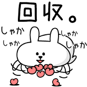 Support of rabbit4