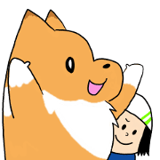 Shelty boy LAR 2