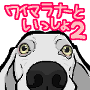 LOVEWeimaraner2