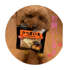 Kero_20200519015444