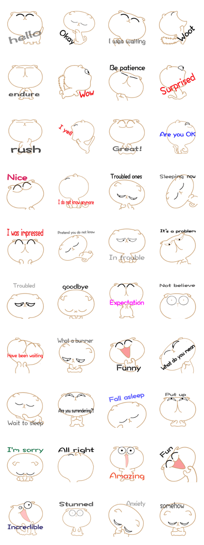 your words short leg cat bent ears 2