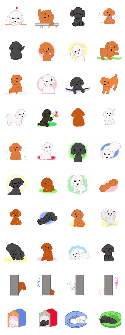 The healing dog