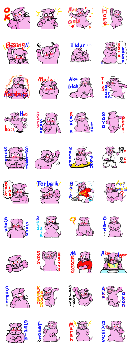 Eyabrows cat "CANDY" first appearance