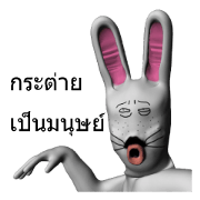 Rabbit Human