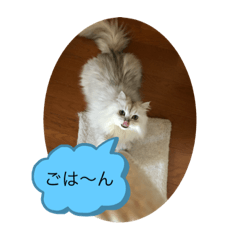 Vivian_20200519125005
