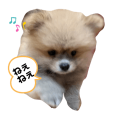 ponta_20200519125655