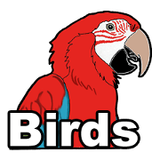 Birds of the world